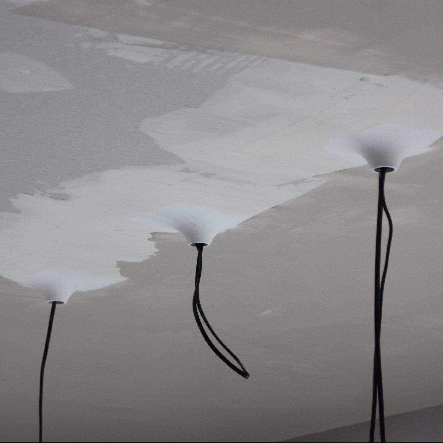 Aktuelles – Lutz Malerwerkstatt